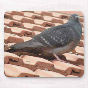 Tapis De Souris Pigeon Mousepad sur le toit