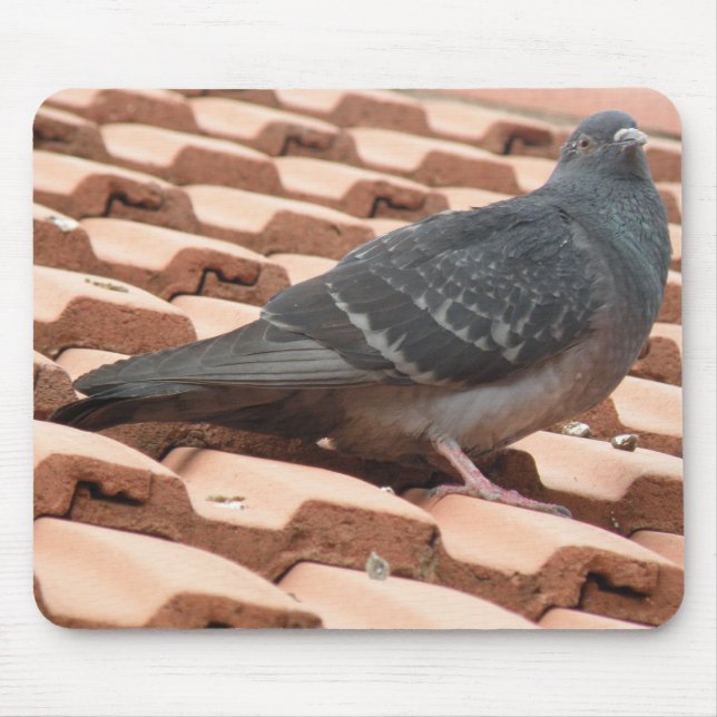 Tapis De Souris Pigeon Mousepad sur le toit (Devant)