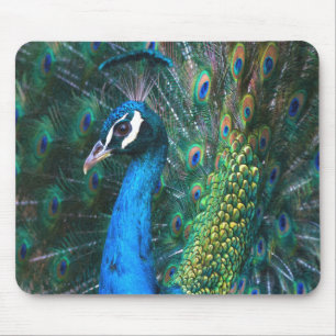 Tapis De Souris Pile de queue de paon indien coloré profil ouvert