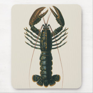 Tapis De Souris Pinces de homard Vie marine océanique vintage Crus