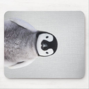 Tapis De Souris Pingouin Bébé Noir Et Blanc Cute