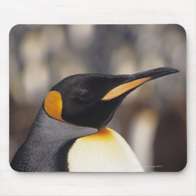 Tapis De Souris Pingouin roi (Aptérodytes patagonicus) (Devant)