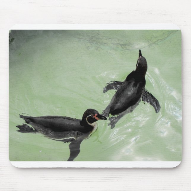 Tapis De Souris Pingouins Humboldt (Devant)