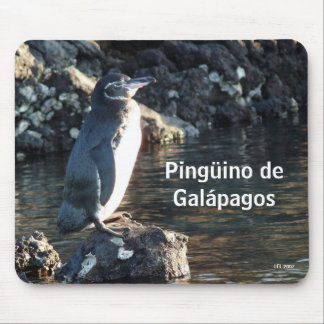 Tapis De Souris Pinguino De Galapagos