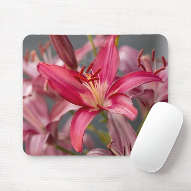 Tapis De Souris Pink Asiatic Lily, Botanical Flower Photo (Avec souris)