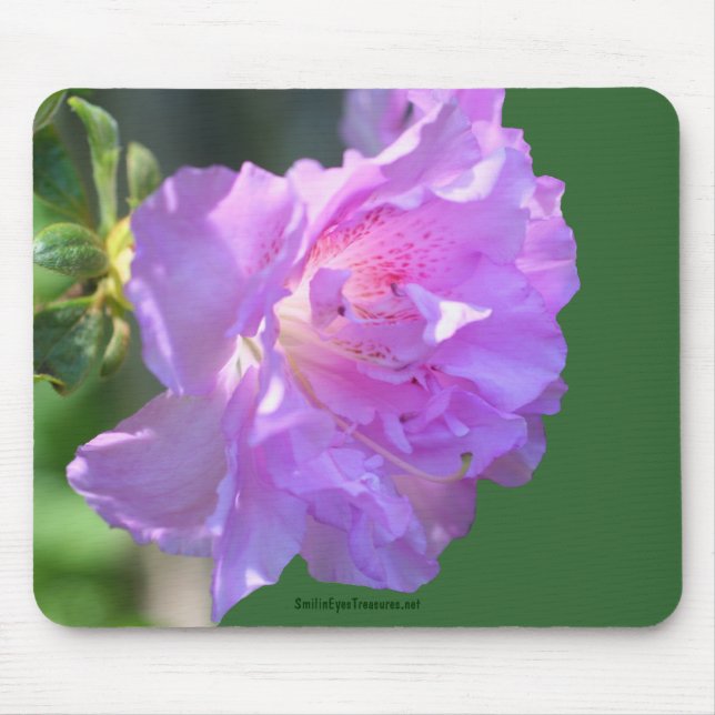 Tapis De Souris Pink Azalea Flower Photo Mousepad (Devant)