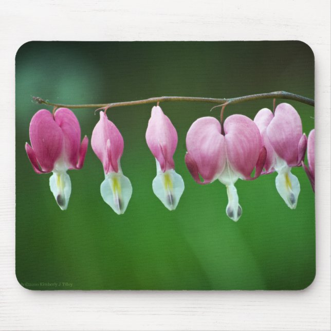 Tapis De Souris Pink Charms Mousepad (Devant)