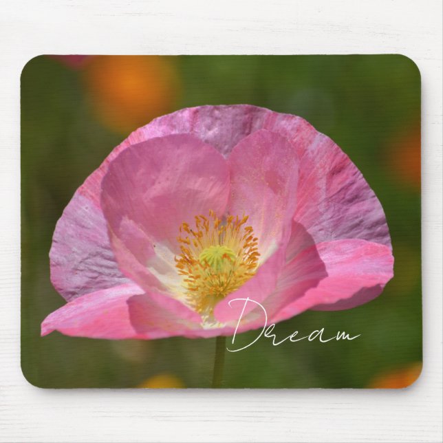 Tapis De Souris Pink Iceland Poppy (photography taken by me) (Devant)