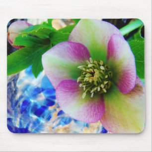 Tapis De Souris Pink Lenten Rose blue glass ball
