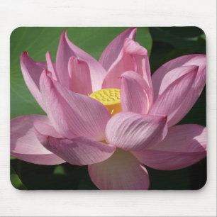 Tapis De Souris Pink Lotus Flower IV