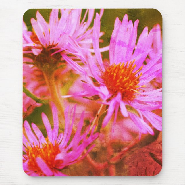 Tapis De Souris Pink New England Asters Flower Art (Devant)