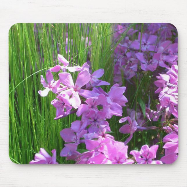 Tapis De Souris Pink Phlox et Grass été Floral (Devant)
