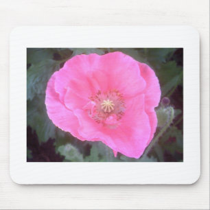 Tapis De Souris Pink poppy