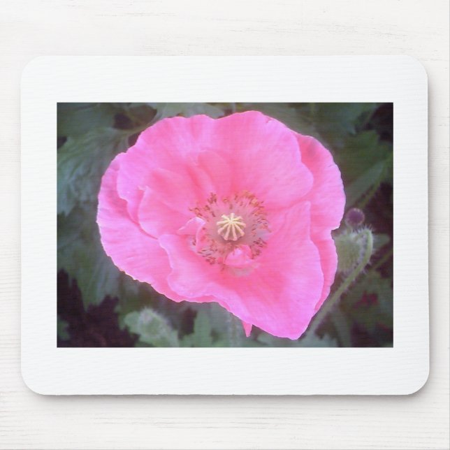 Tapis De Souris Pink poppy (Devant)