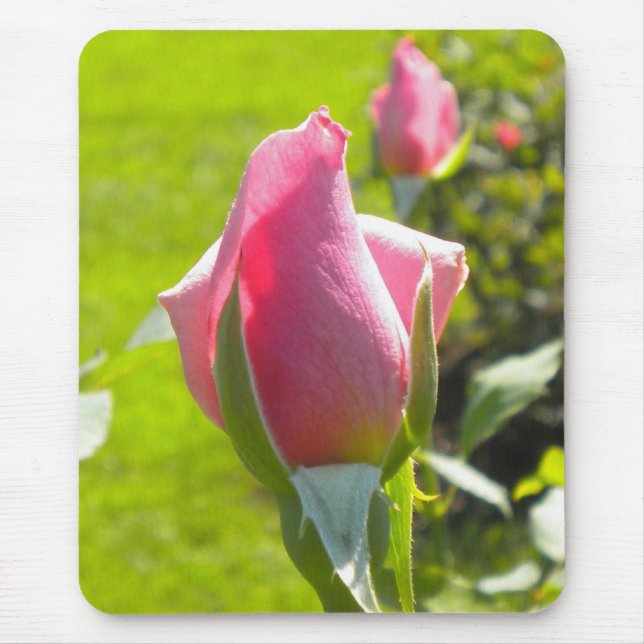Tapis De Souris Pink Rose Bud Souris pad (Devant)