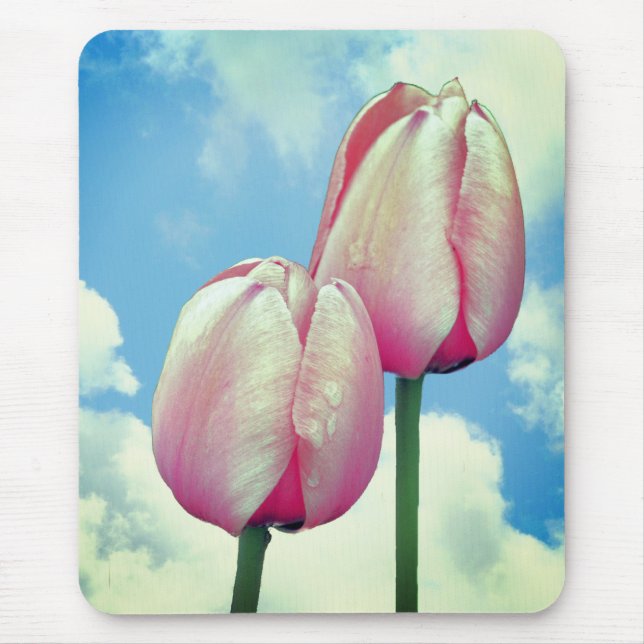 Tapis De Souris Pink Tulips Blue Sky Clouds Nature (Devant)