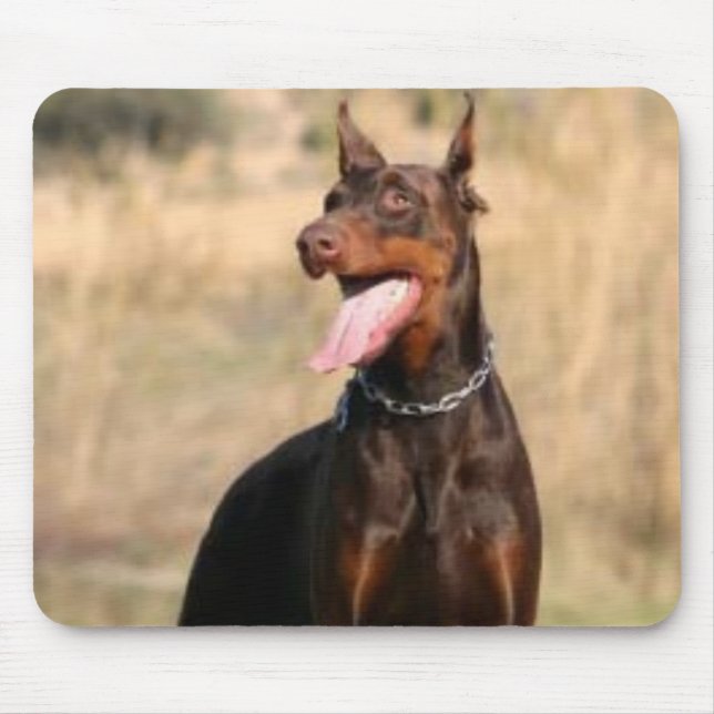 Tapis De Souris Pinscher Mousepad de dobermann (Devant)
