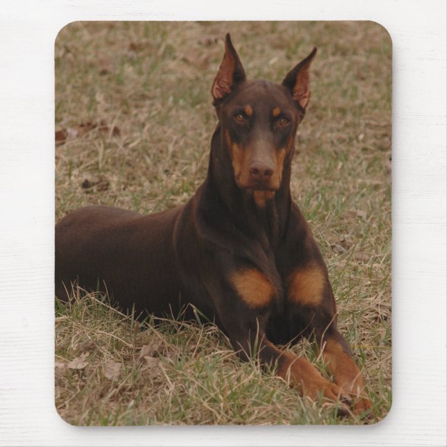 Tapis De Souris Pinscher polychrome de dobermann de rouge et de (Devant)