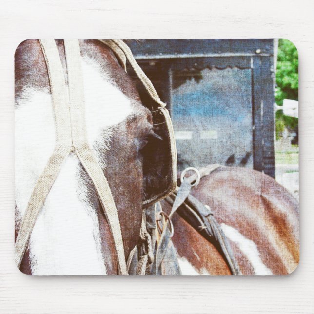 Tapis De Souris Pinto Amish Buggy Horse (Devant)