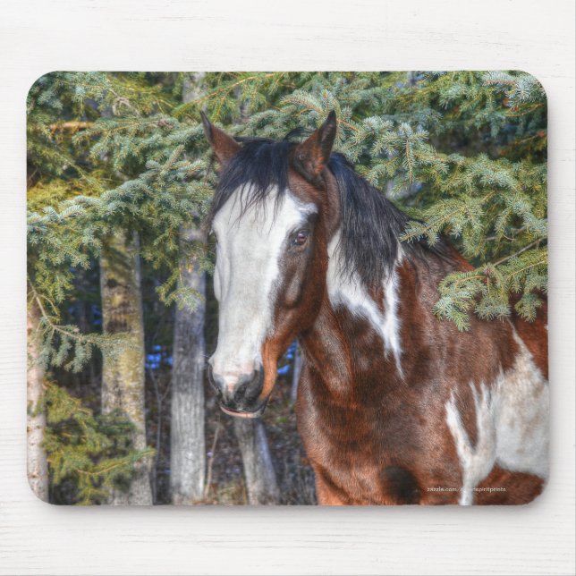 Tapis De Souris Pinto Peinture Stallion & Arbres À feuillage persi (Devant)