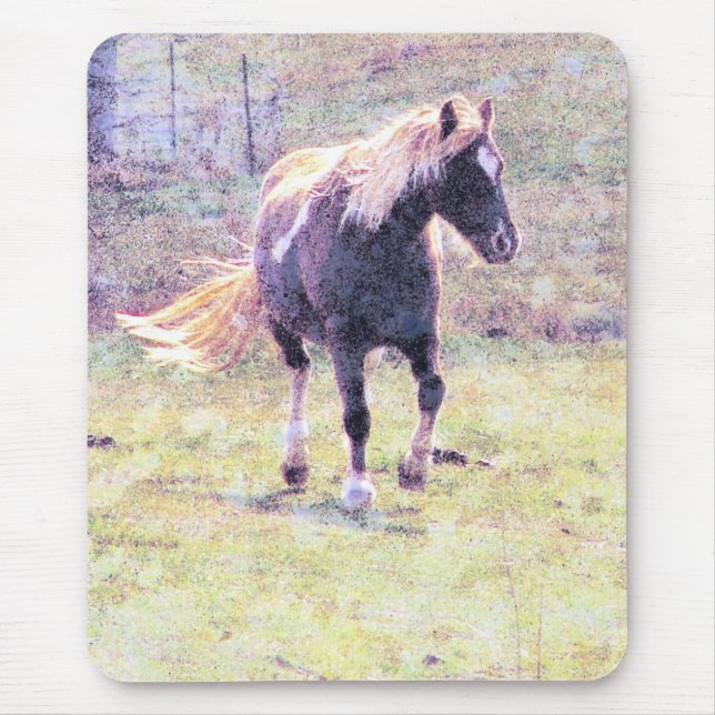 Tapis De Souris Pinto Pony (Devant)
