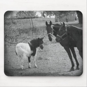 Tapis De Souris Pinto Pony et Chevaux