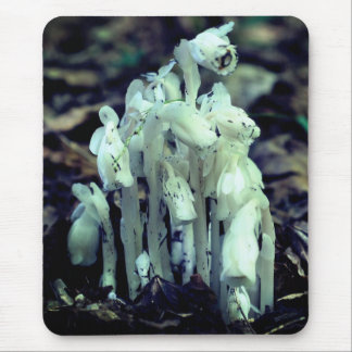 Tapis De Souris Pipe indienne Fleur sauvage Champignons Nature