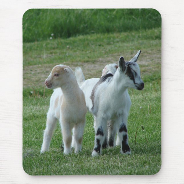Tapis De Souris Pippi et Grey (Devant)