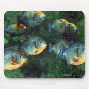 Tapis De Souris Piranha reflété