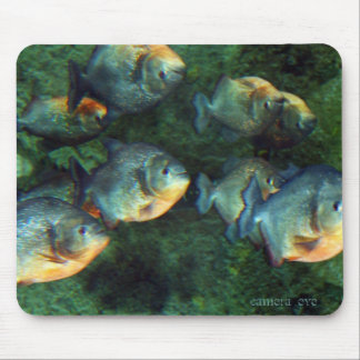 Tapis De Souris Piranha reflété