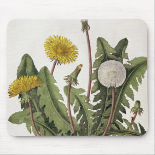Tapis De Souris Pissenlit (gravure de couleur)