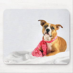 Tapis De Souris Pit Bull Puppy Love in Pink XOXO