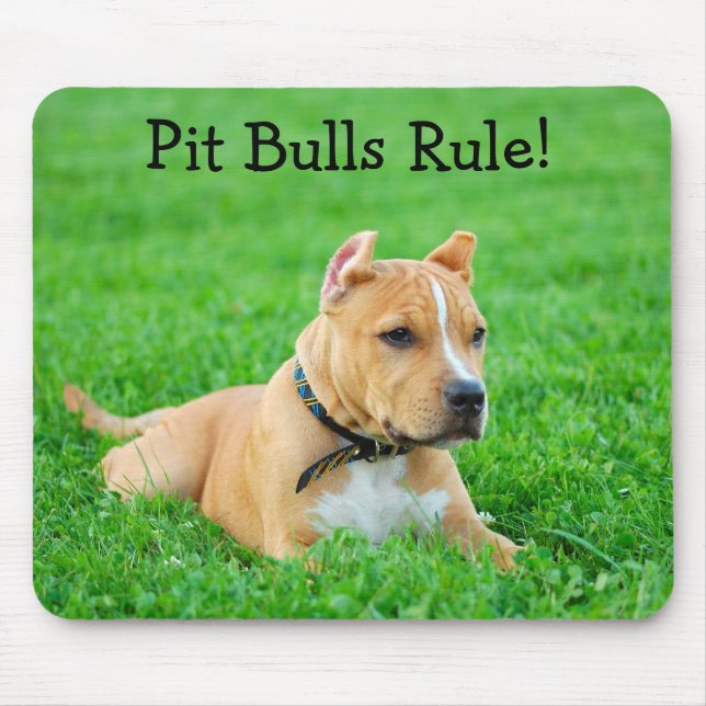 Tapis de souris Pit Bulls Rule (Devant)