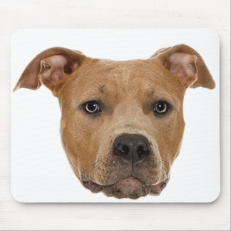 Tapis De Souris Pitbull Chien