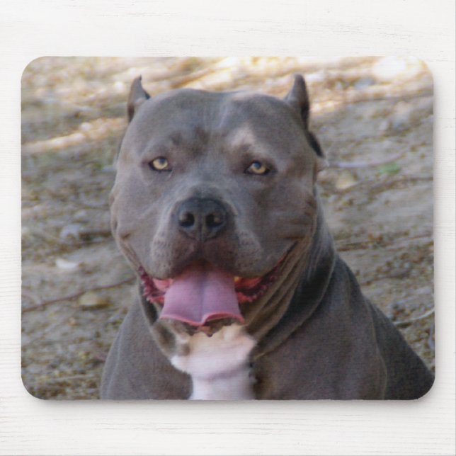 Tapis De Souris Pitbull Mousepad (Devant)