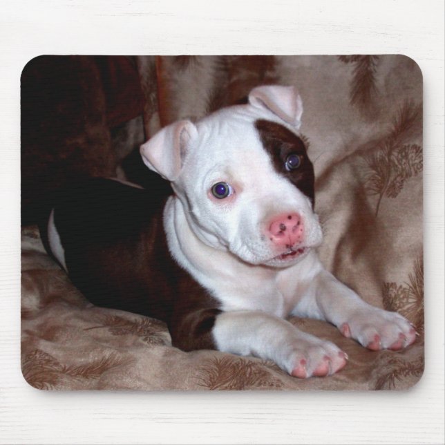 Tapis De Souris Pitbull Puppy Mousepad (Devant)