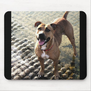 Tapis De Souris Pitbull Terrier