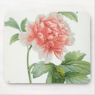 Tapis De Souris Pivoine, 1799 (copie de pointillé de couleur)