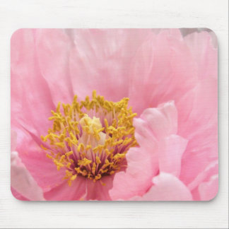 Tapis de souris : Pivoine rose d'arbre