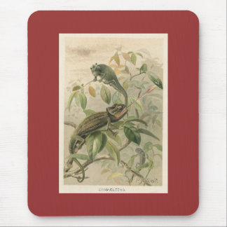 Tapis De Souris PJ Smith - Chameleons