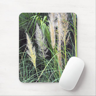 Tapis De Souris Plage