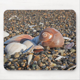 Tapis De Souris plage, coquillages, océan