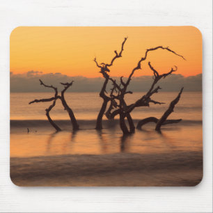 Tapis De Souris Plage de bois flotté au lever du soleil, île de Je