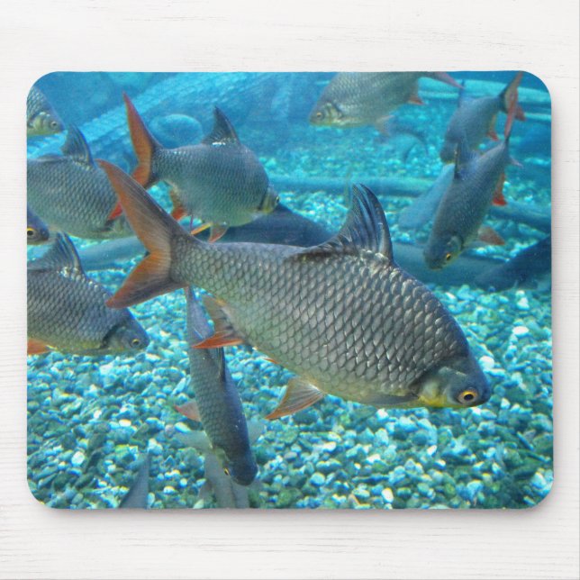 Tapis De Souris Plage de poisson (Devant)