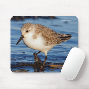 Tapis De Souris Plage d'oiseaux de rivage de Sanderling