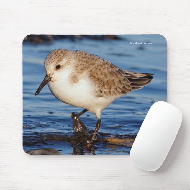 Tapis De Souris Plage d'oiseaux de rivage de Sanderling (Avec souris)
