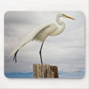 Tapis De Souris Plage douée du héron   Fort Myers, la Floride