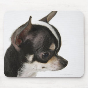 Tapis De Souris Plan rapproché de chiwawa, vue de côté
