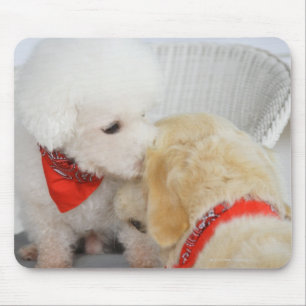Tapis De Souris Plan rapproché de deux chiens