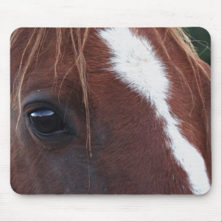Tapis De Souris Plan rapproché de visage de cheval